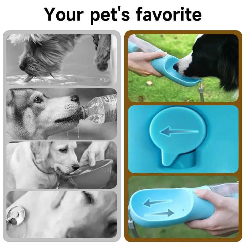 3-in-1 Portable Water Bottle for Dogs with Food Treat Container and Poop Bag Holder - Ideal for Outdoor Activities - 20oz - Blue